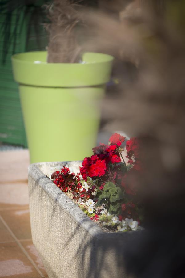 Rilly-la-Montagne Le Relais De St Martin Bed & Breakfast エクステリア 写真
